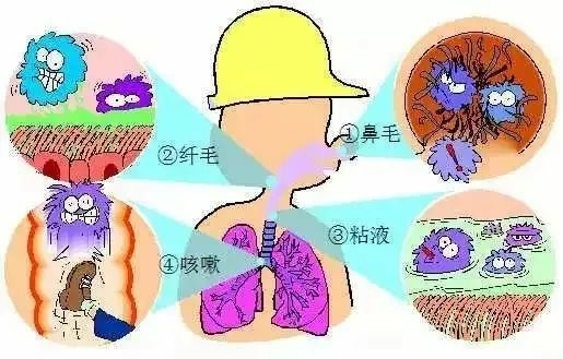 海固安防|预防吸入粉尘,保护个人健康! 海固安防|预防吸入粉尘,保护个人健康!